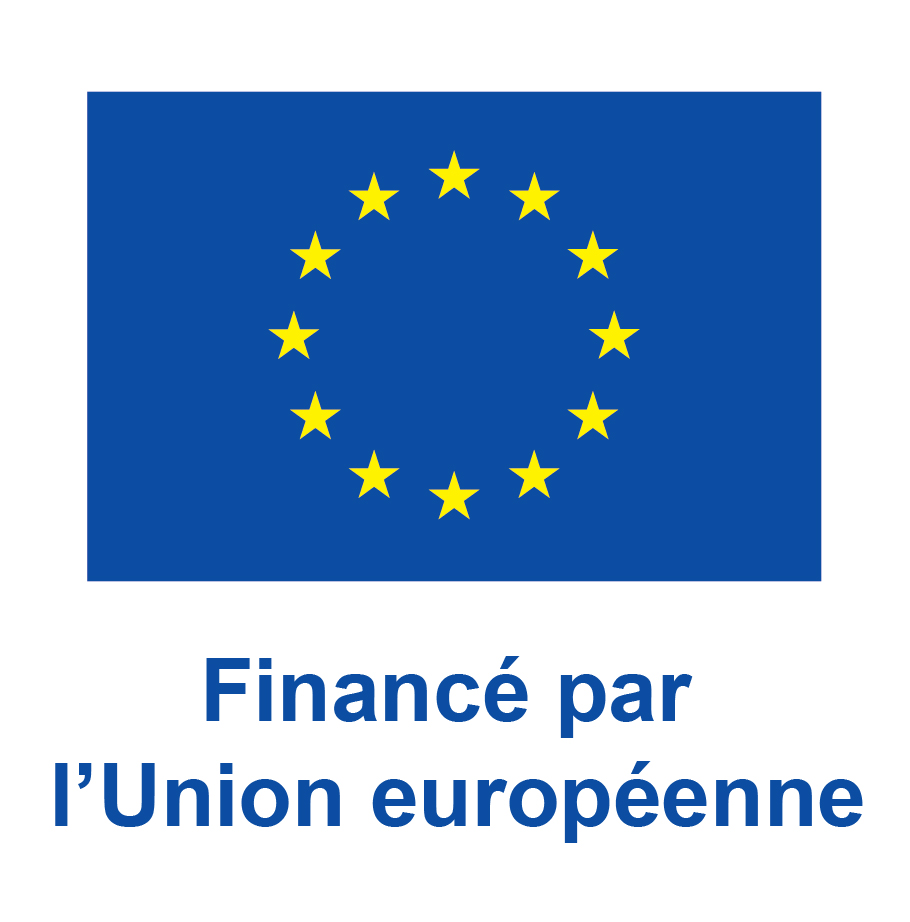 Erasmus Logo 3
